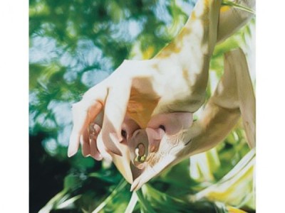 海沧，诗意栖息地，远离喧嚣，寻找艺术与生活的平衡