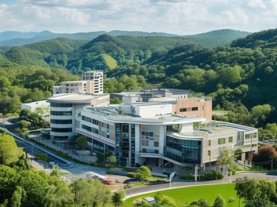 船山医院位置解析，地理位置优越，专业服务，交通便利，专业医疗环境，为患者提供全面医疗服务。