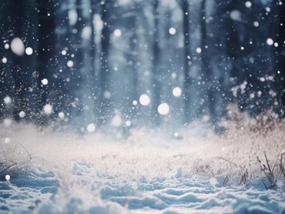 雪花飘向哪里？季节与地点的交响乐