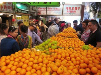 推荐廊坊批发橘子哪里？价格亲民，品质保障！