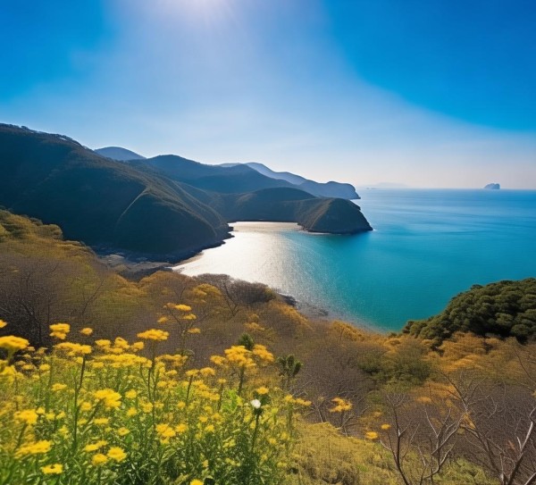 土瓜湾四季自然之美