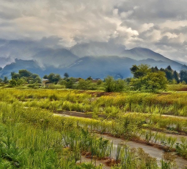 汕尾温泉，温暖的 another 水乡