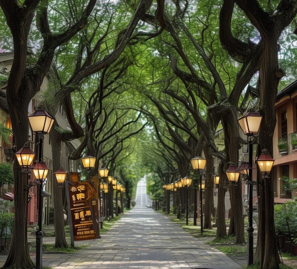 皇家酒店必经之路，胡然水邑的推荐与必选